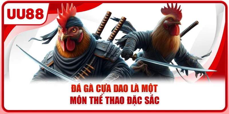 Đá gà cựa dao là một môn thể thao đặc sắc