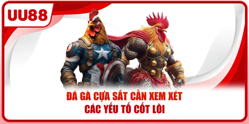 Đá gà cựa sắt cần xem xét các yếu tố cốt lõi Đá gà cựa sắt cần xem xét các yếu tố cốt lõi