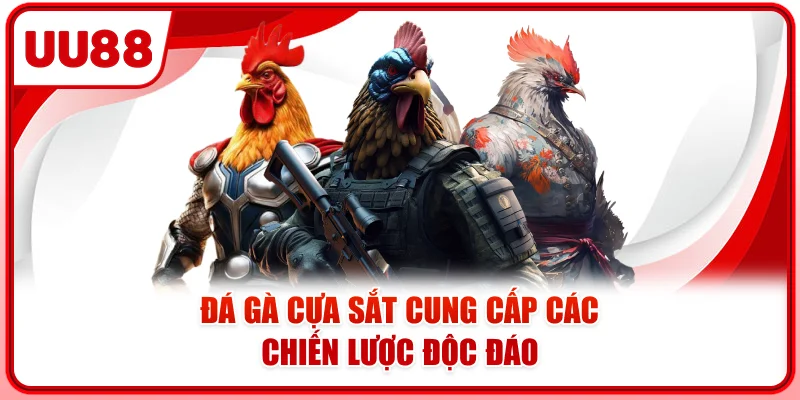 Đá gà cựa sắt cung cấp các chiến lược độc đáo Đá gà cựa sắt cung cấp các chiến lược độc đáo
