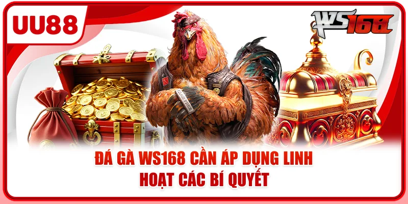 Đá gà WS168 cần áp dụng linh hoạt các bí quyết