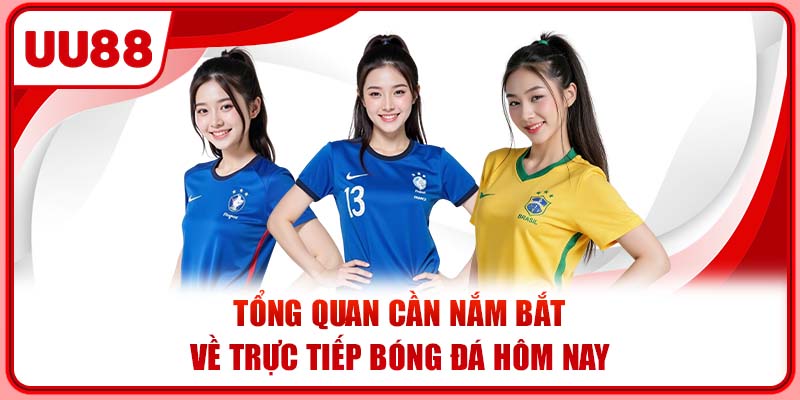 Tổng quan cần nắm bắt về trực tiếp bóng đá hôm nay Tổng quan cần nắm bắt về trực tiếp bóng đá hôm nay