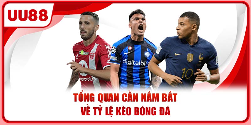 Tổng quan cần nắm bắt về tỷ lệ kèo bóng đá